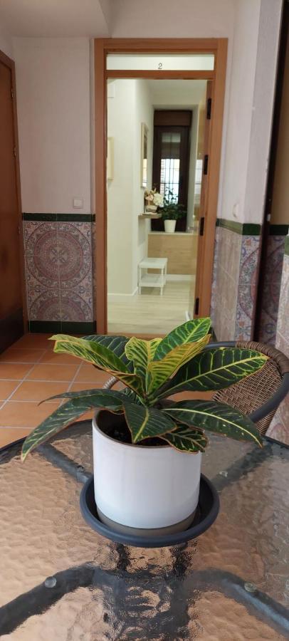 Appartement Cordvba Osario Centro à Cordoue Extérieur photo